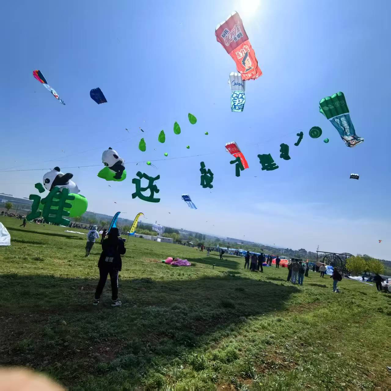 衢州市风筝定制风筝定制 - 排名